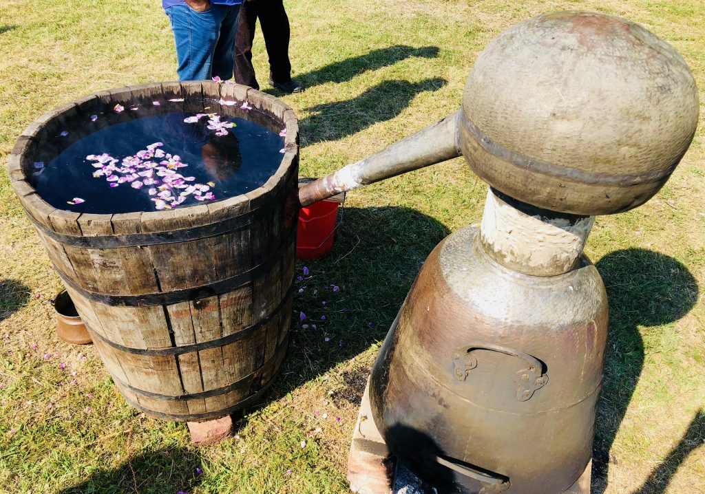 Rose oil extraction ritual, Festival of Roses in Kazanlak